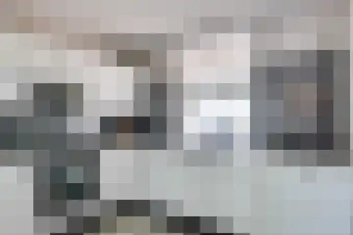 Raampoort 2 Uden thumbnail 14