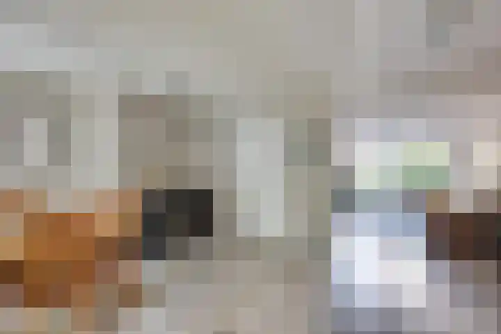 Raampoort 2 Uden thumbnail 15