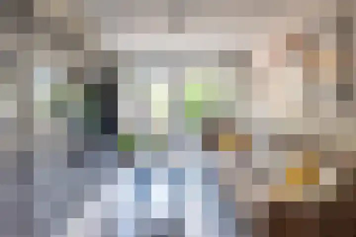 Raampoort 2 Uden thumbnail 16