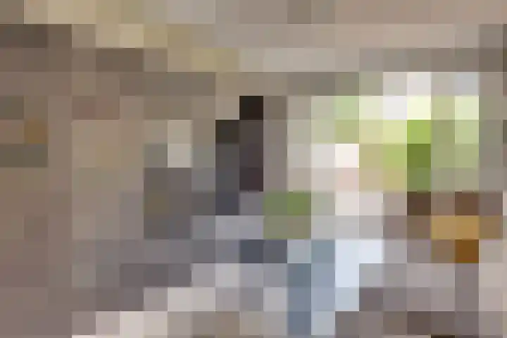 Raampoort 2 Uden thumbnail 17