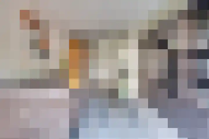 Raampoort 2 Uden thumbnail 18