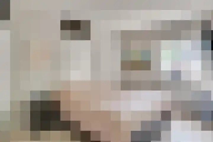 Raampoort 2 Uden thumbnail 22