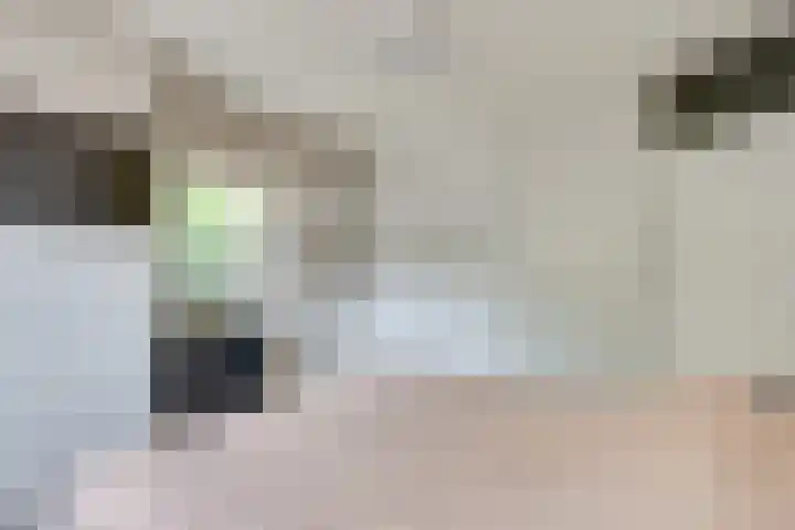 Raampoort 2 Uden thumbnail 23