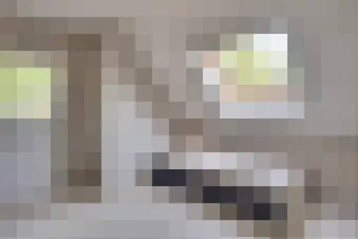 Raampoort 2 Uden thumbnail 24