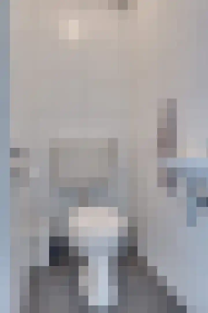 Raampoort 2 Uden thumbnail 29