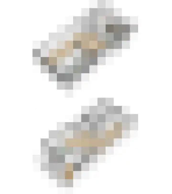 Raampoort 2 Uden thumbnail 33