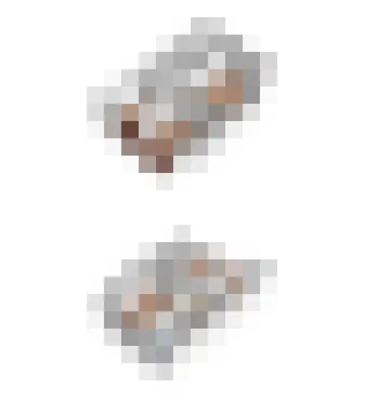 Raampoort 2 Uden thumbnail 35