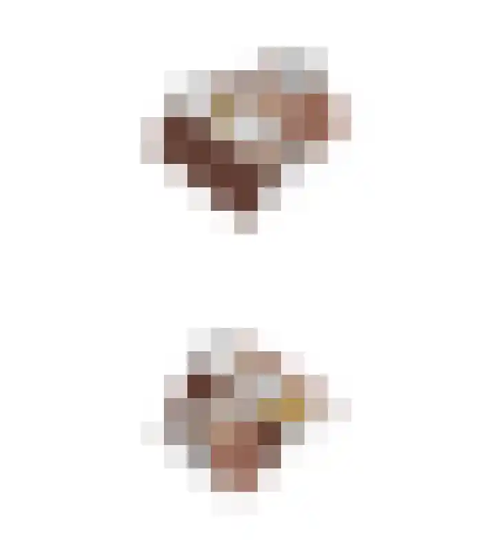Raampoort 2 Uden thumbnail 37