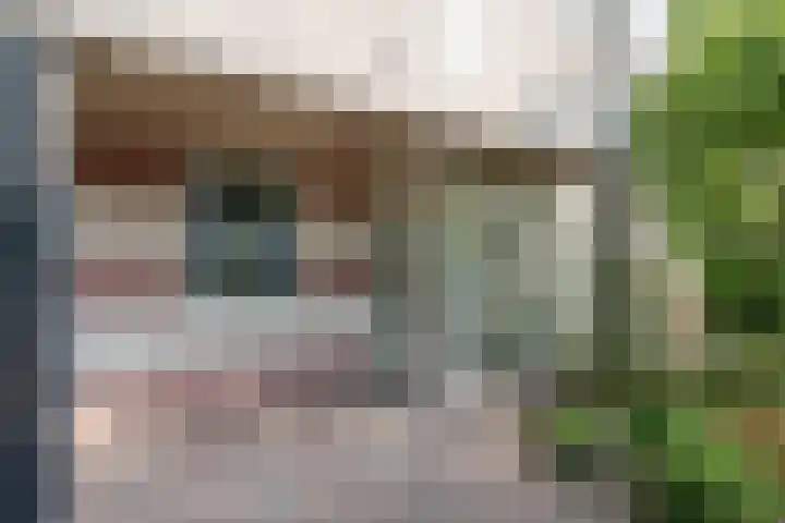 Raampoort 2 Uden thumbnail 4