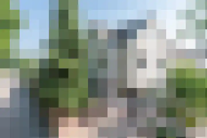 Raampoort 2 Uden thumbnail 40