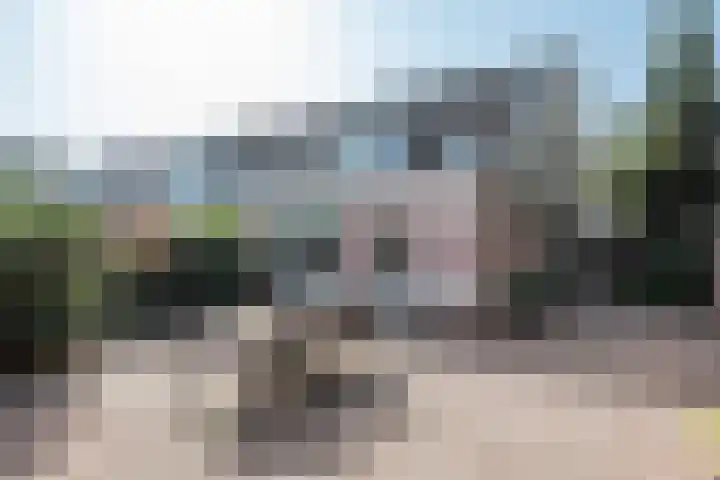 Raampoort 2 Uden thumbnail 5