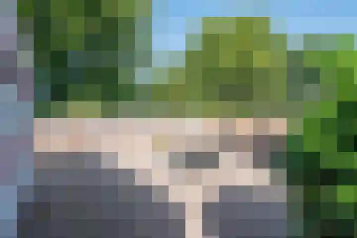 Raampoort 2 Uden thumbnail 8