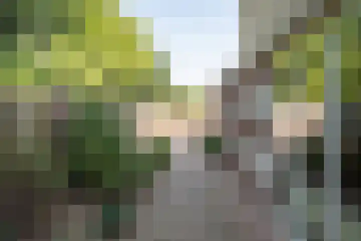 Raampoort 2 Uden thumbnail 9