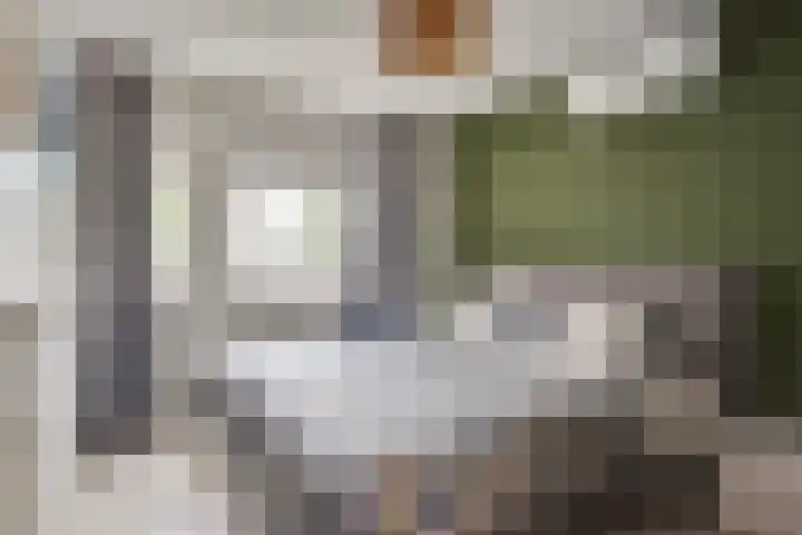 Raampoort 7 Uden thumbnail 20