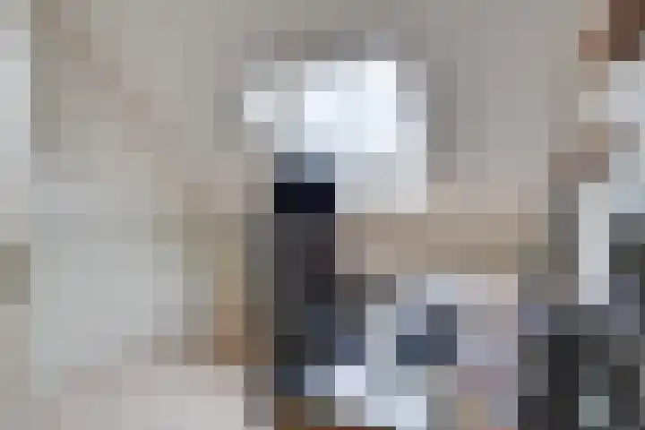 Raampoort 7 Uden thumbnail 21