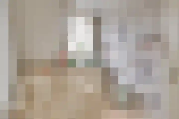 Raampoort 7 Uden thumbnail 22