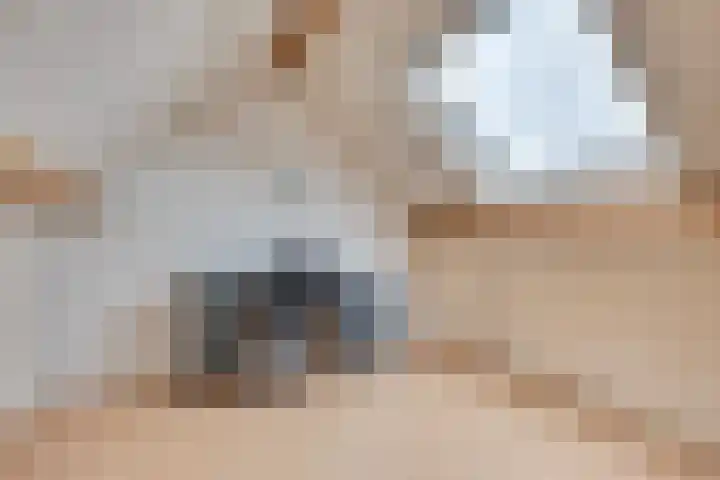 Raampoort 7 Uden thumbnail 25