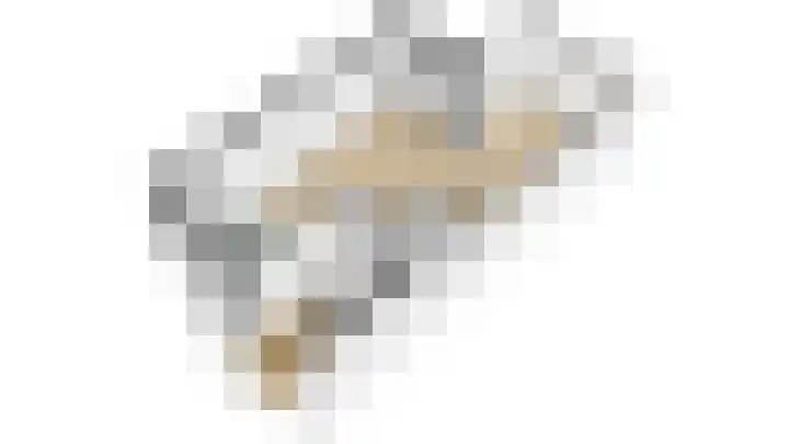 Raampoort 7 Uden thumbnail 28