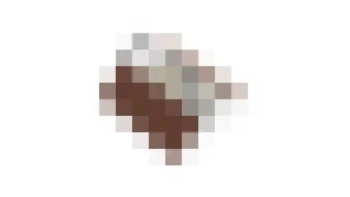 Raampoort 7 Uden thumbnail 34