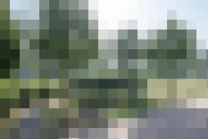 Raampoort 7 Uden thumbnail 4