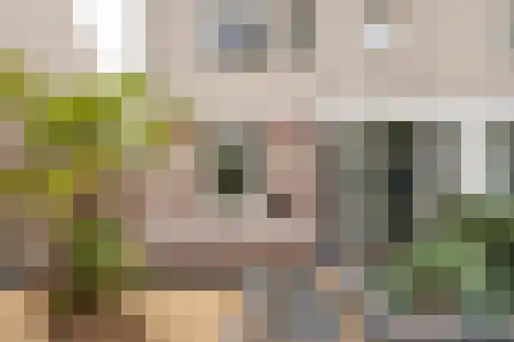 Raampoort 7 Uden thumbnail 7