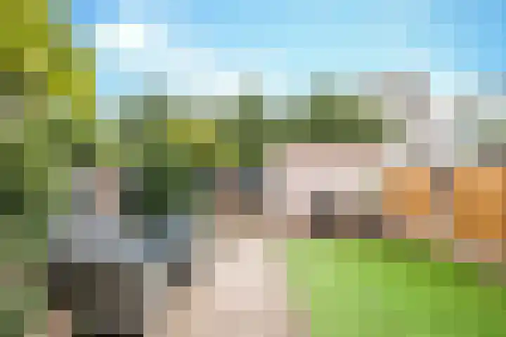 Raampoort 7 Uden thumbnail 9
