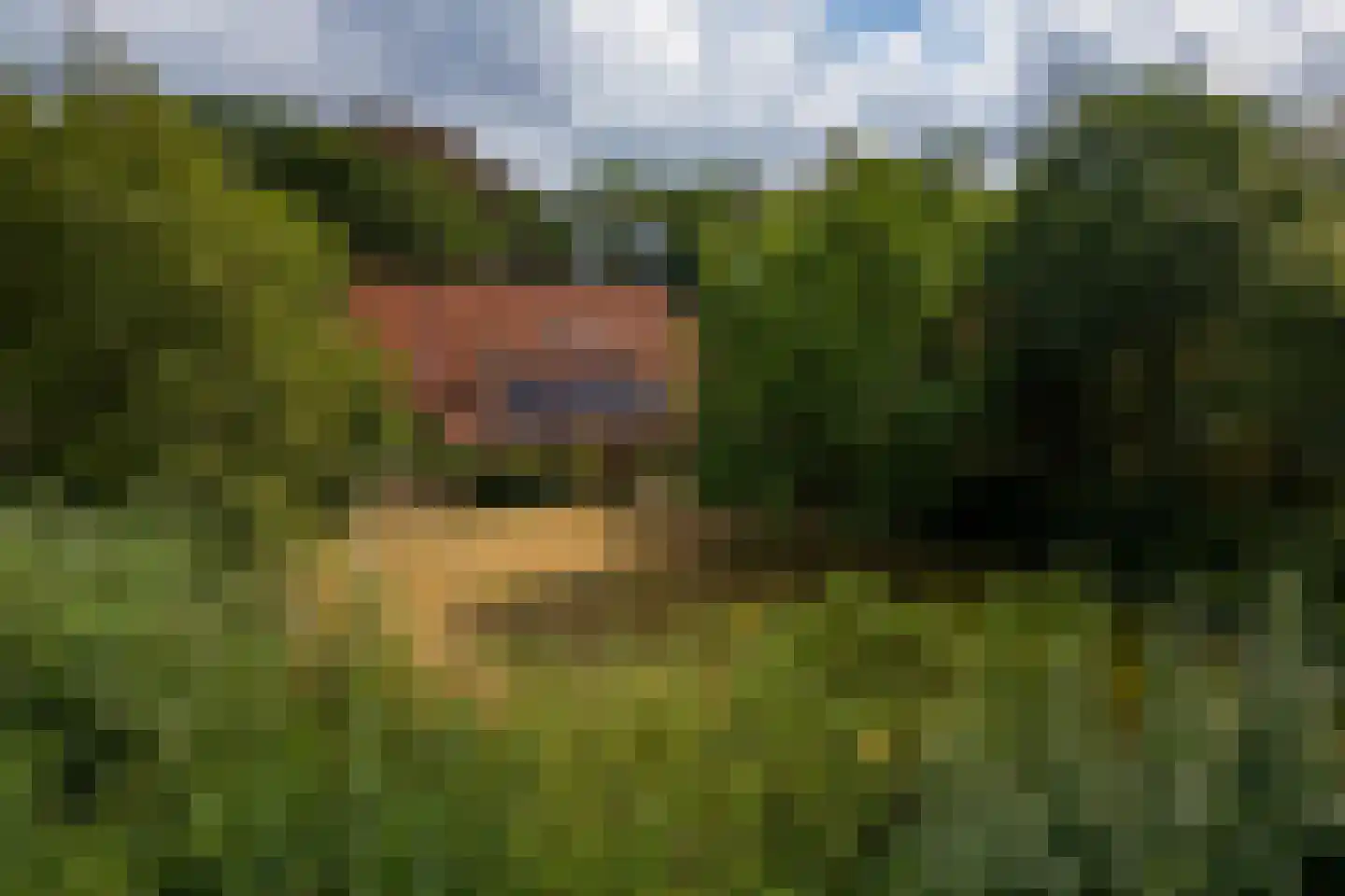 Raamschoorseweg 30 A Breda thumbnail 5