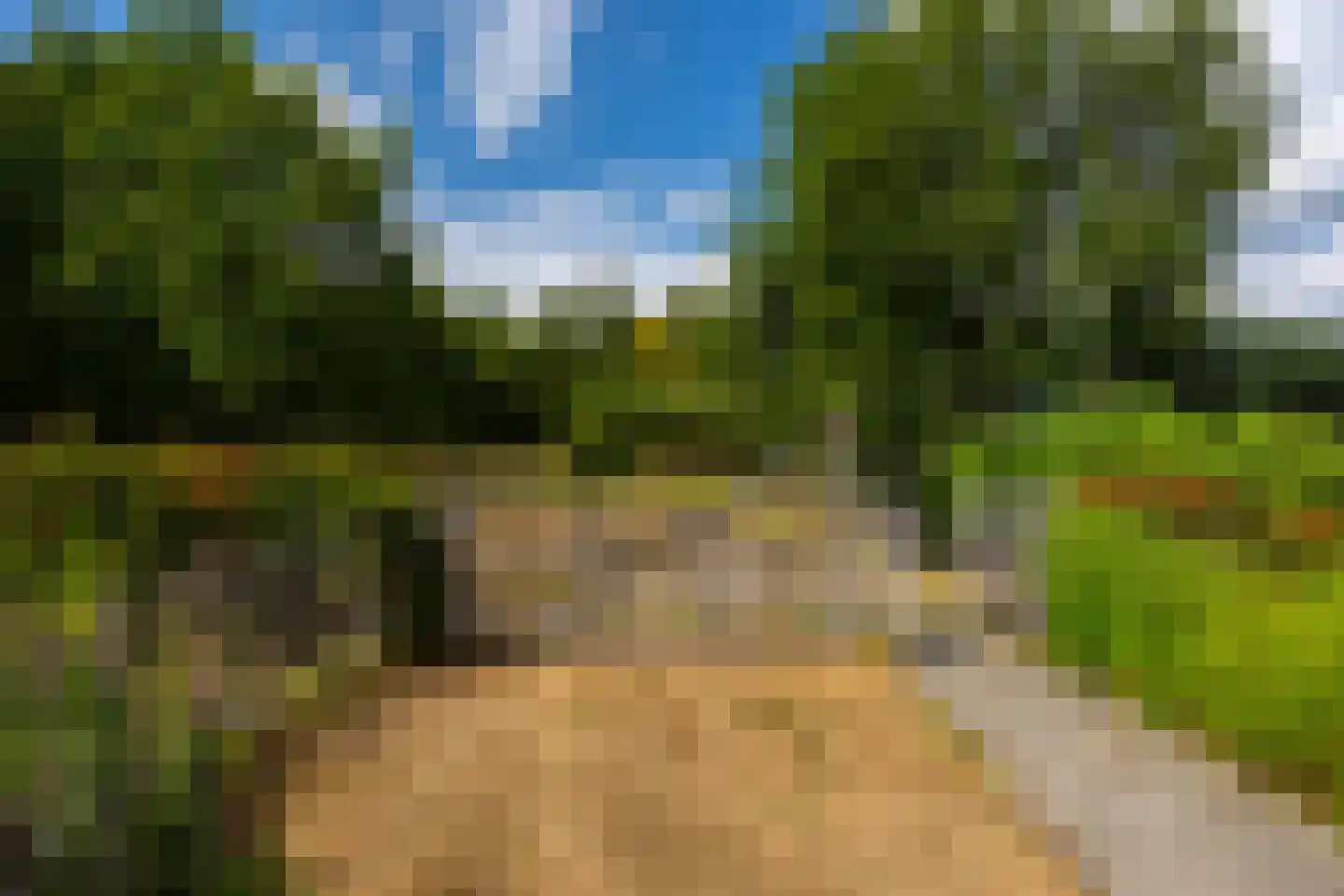 Raamschoorseweg 30 A Breda thumbnail 58