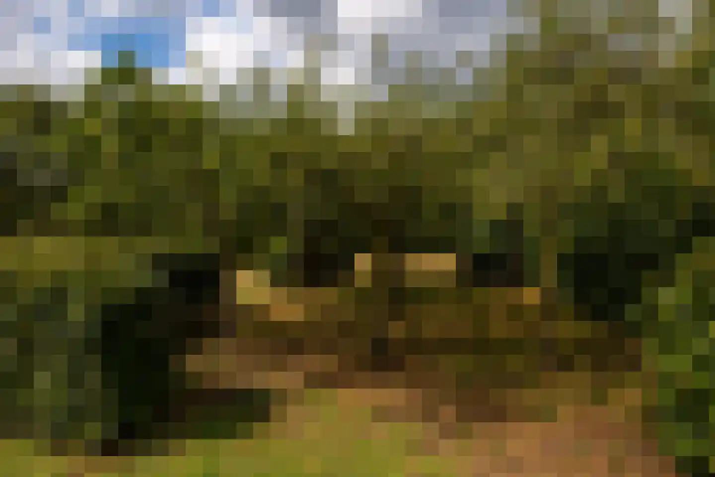 Raamschoorseweg 30 A Breda thumbnail 60