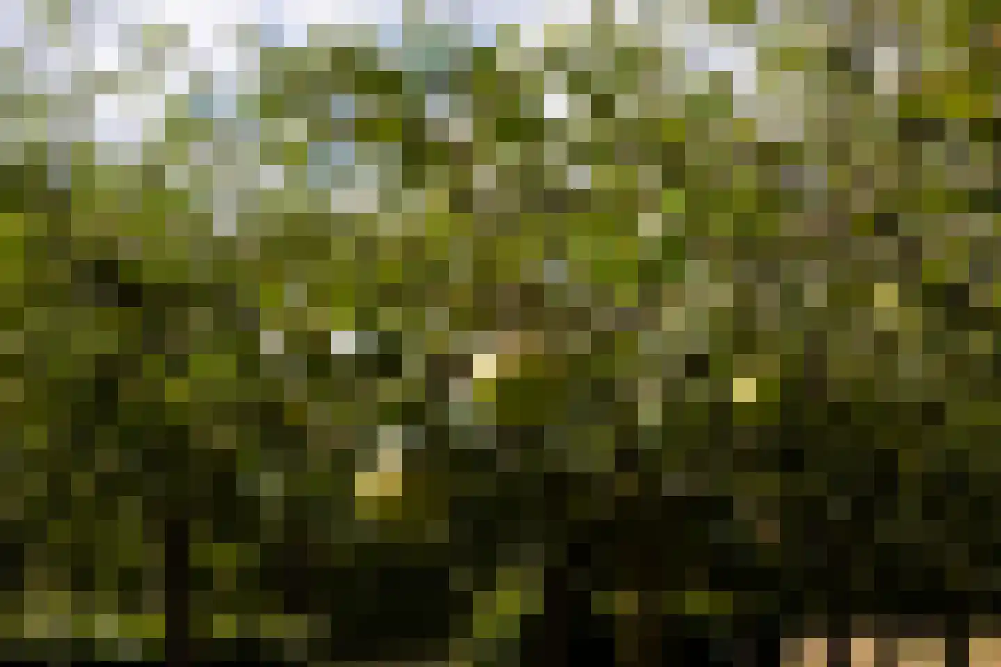 Raamschoorseweg 30 A Breda thumbnail 61