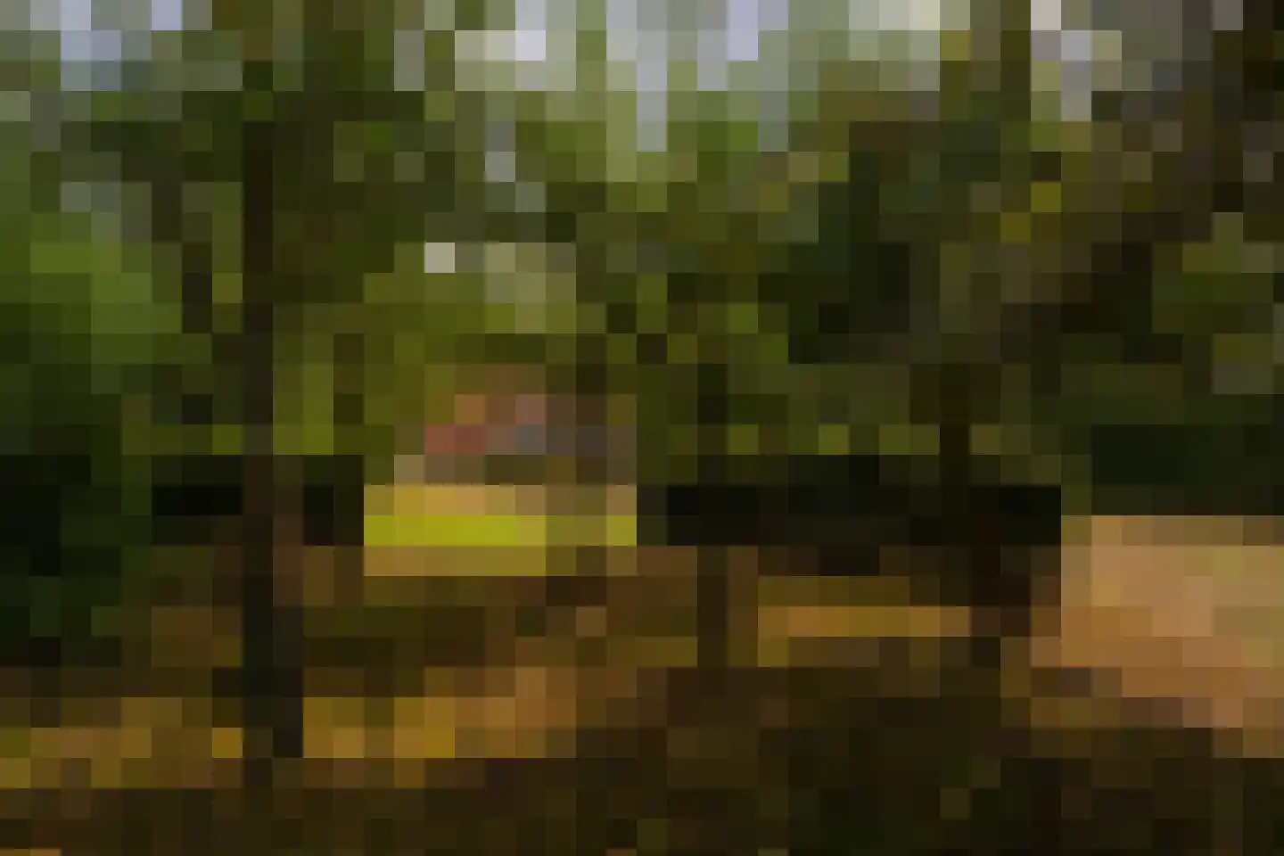 Raamschoorseweg 30 A Breda thumbnail 62