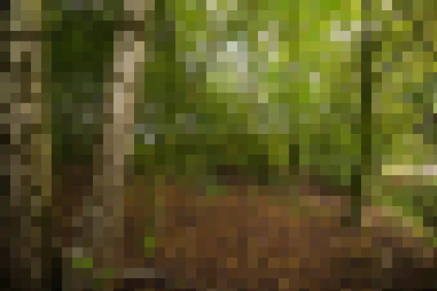 Raamschoorseweg 30 A Breda thumbnail 65
