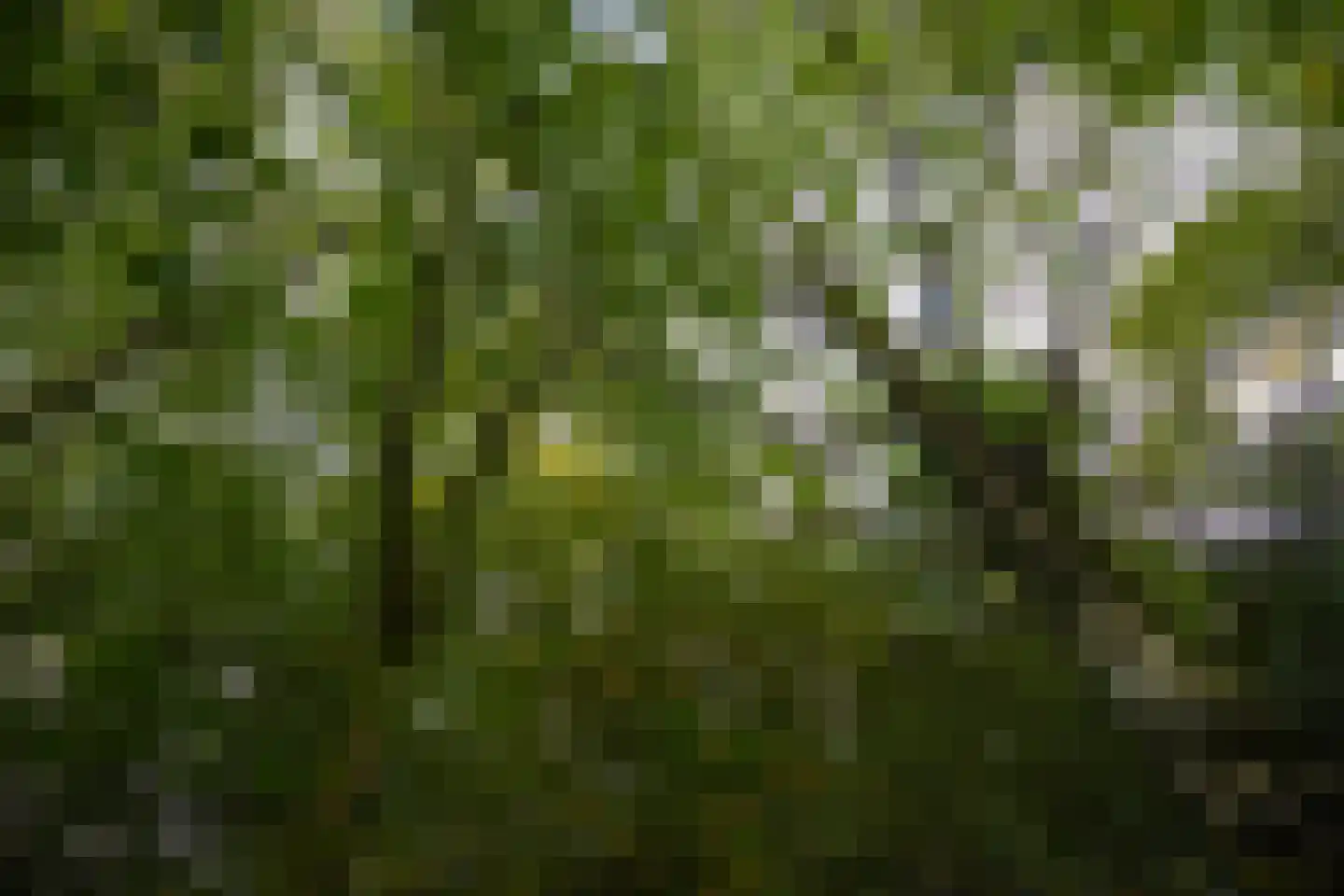 Raamschoorseweg 30 A Breda thumbnail 66