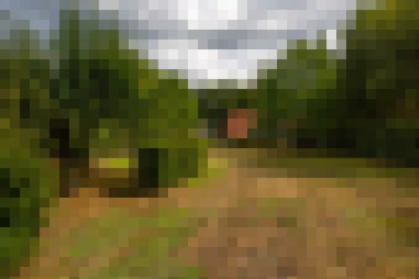 Raamschoorseweg 30 A Breda thumbnail 69