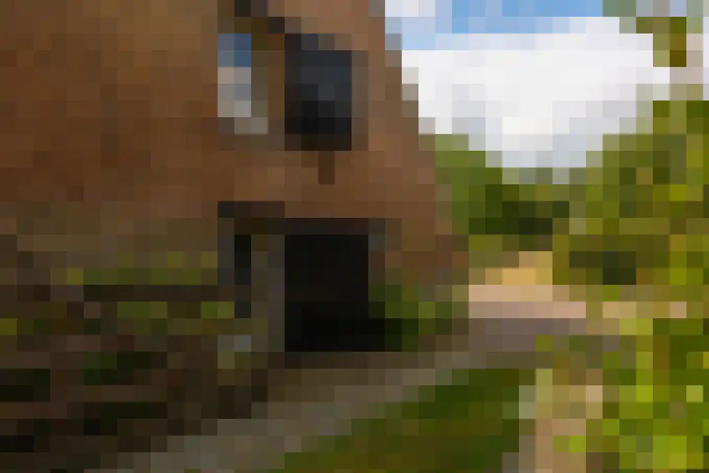Raamschoorseweg 30 A Breda thumbnail 77