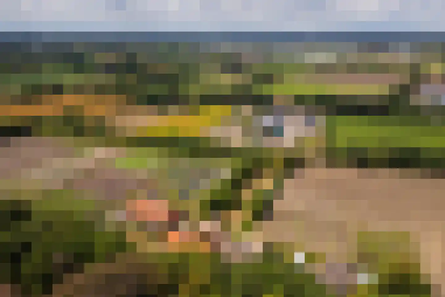 Raamschoorseweg 30 A Breda thumbnail 8