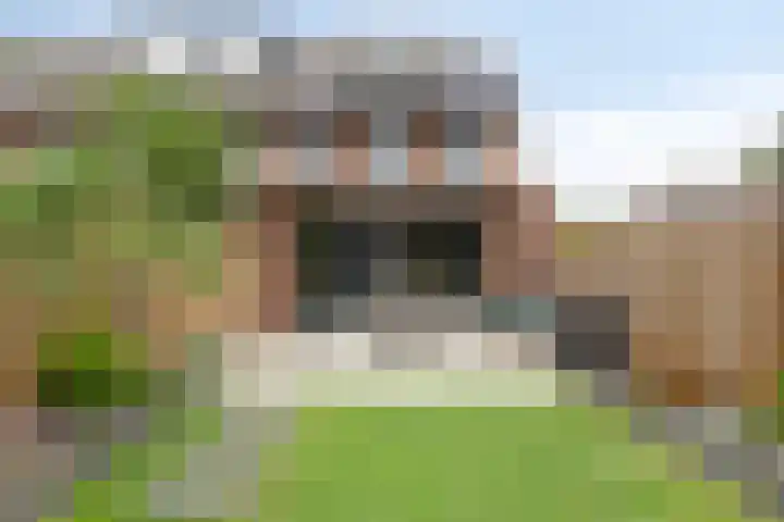 Raamsdonkstraat 48 Tilburg thumbnail 23