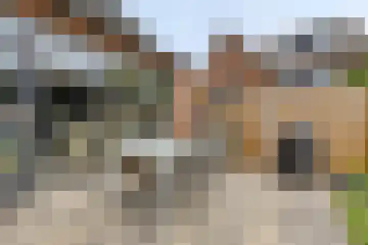 Raamsdonkstraat 48 Tilburg thumbnail 24