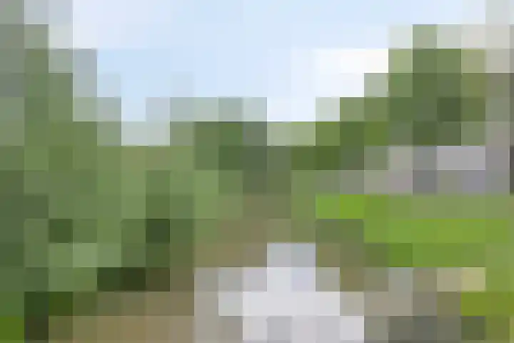 Raamsdonkstraat 48 Tilburg thumbnail 30