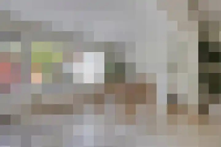 Raamsdonkstraat 69 Tilburg thumbnail 17