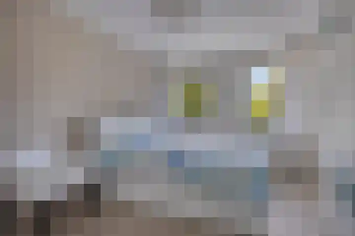 Raamsdonkstraat 69 Tilburg thumbnail 27
