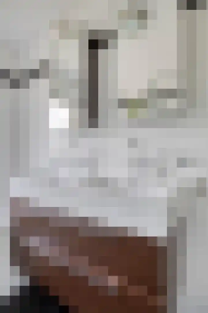 Raamsdonkstraat 69 Tilburg thumbnail 32