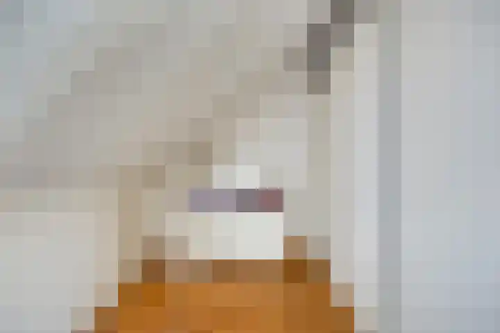 Raamsdonkstraat 69 Tilburg thumbnail 40