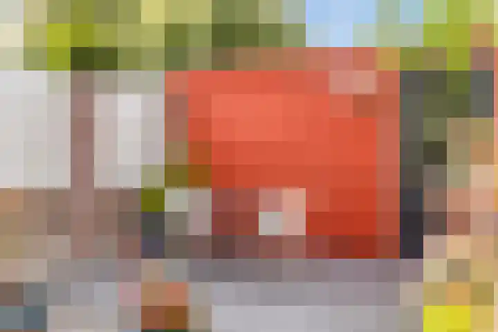Raamsdonkstraat 69 Tilburg thumbnail 46