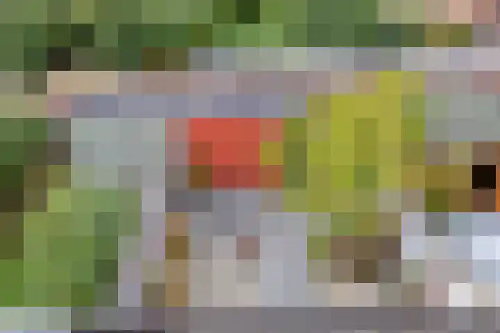 Raamsdonkstraat 69 Tilburg thumbnail 50