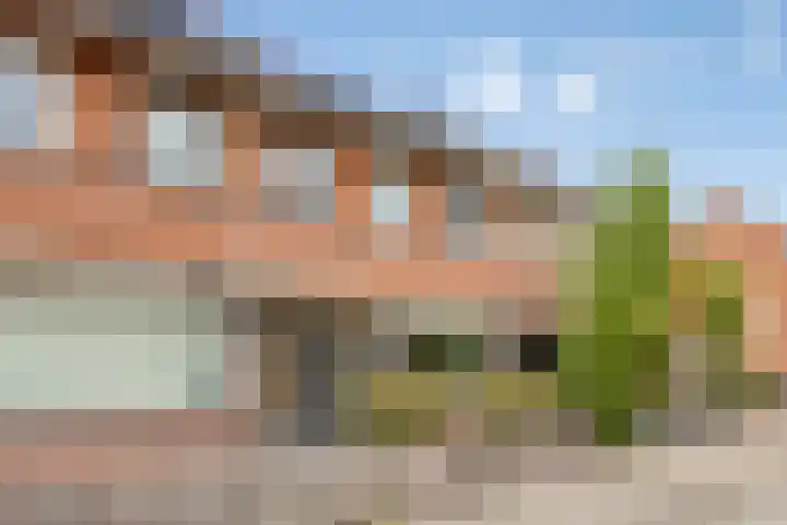 Raamsdonkstraat 69 Tilburg thumbnail 56