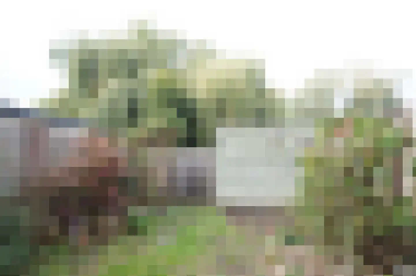 Raamsdonkstraat 71 Tilburg thumbnail 11