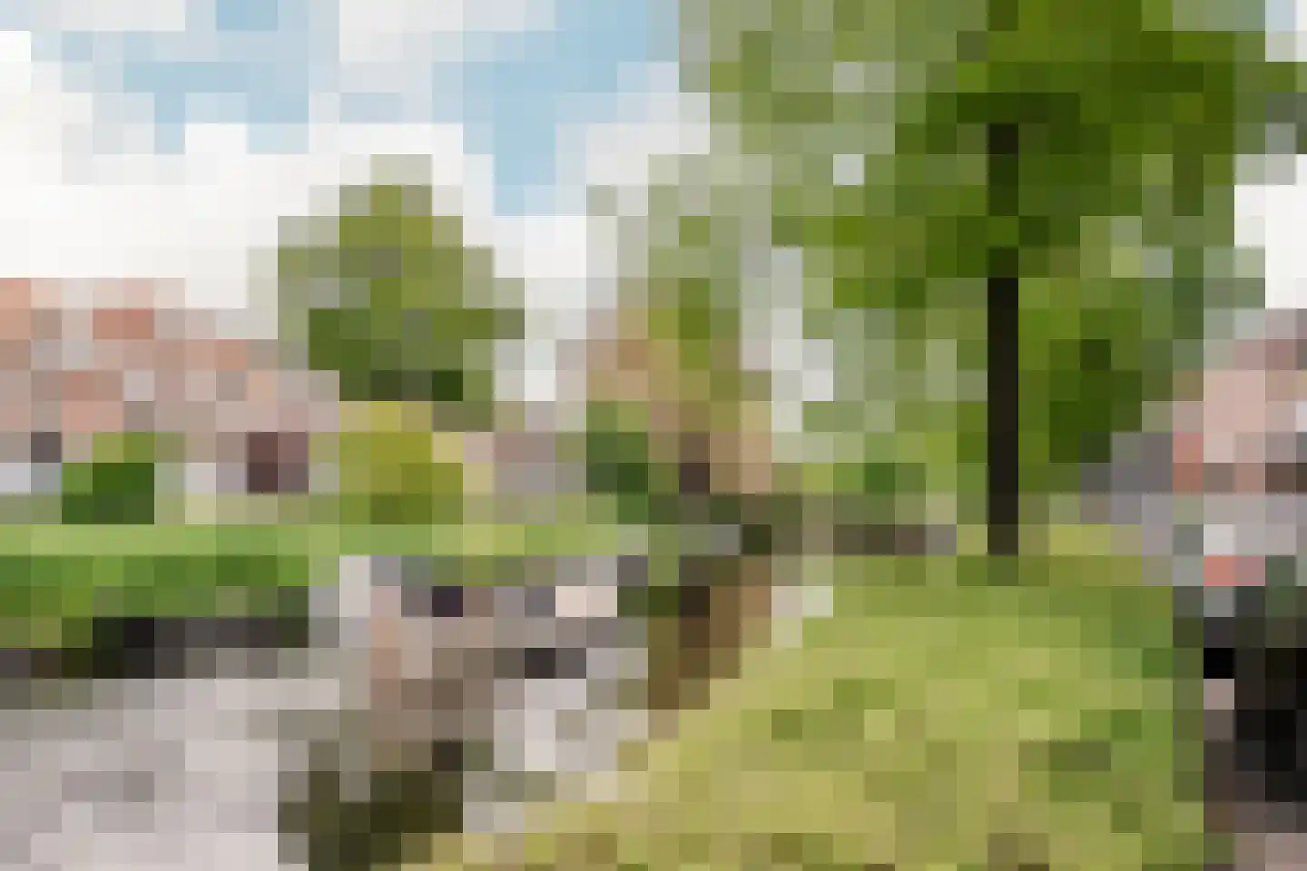 Raamsingel 14 D Haarlem thumbnail 44