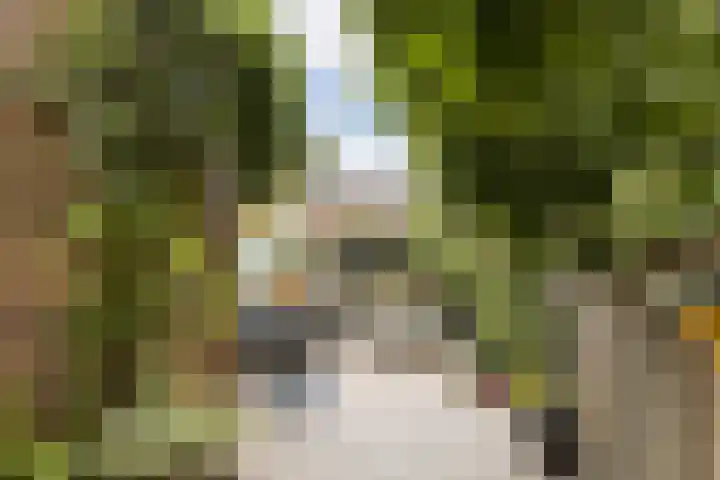 Raamsingel 18 Haarlem thumbnail 15