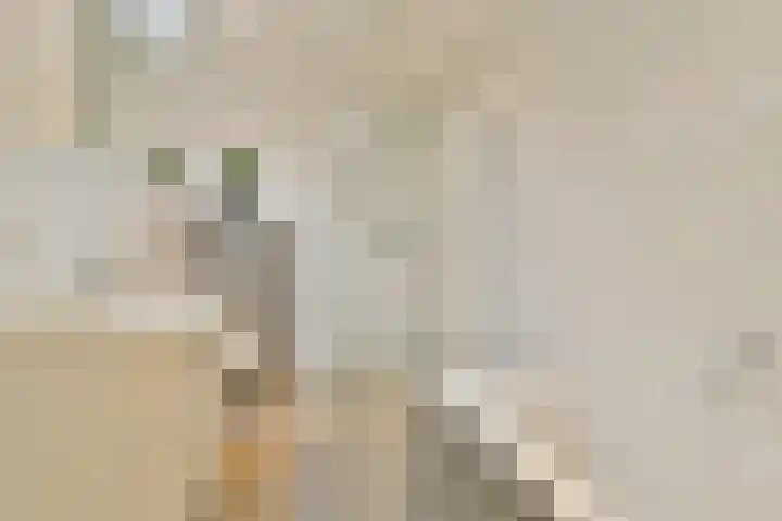 Raamsingel 18 Haarlem thumbnail 21